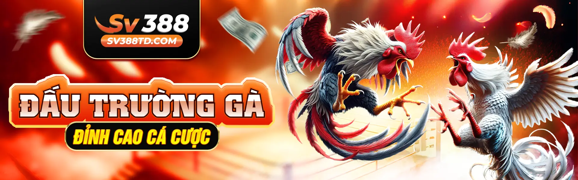 ĐẤU TRƯỜNG