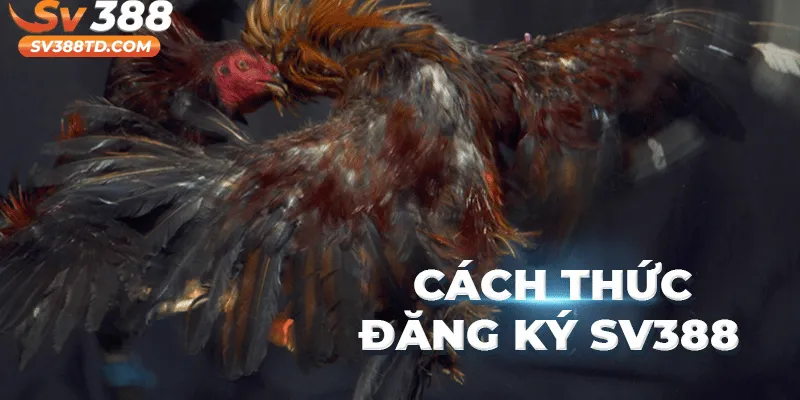 Hướng Dẫn Đăng Ký SV388